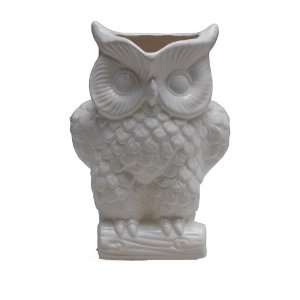 Twos Company Owl Large Pitcher:  Home & Kitchen