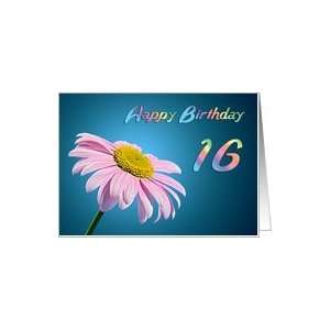    Beautiful Pink Daisy card for a 16 year old Card: Toys & Games