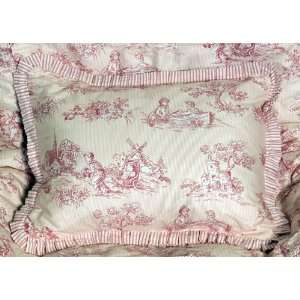 Savannah Pink Toile Pillow: Home & Kitchen