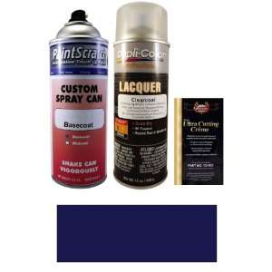   Metallic Spray Can Paint Kit for 1996 BMW 5 Series (317): Automotive