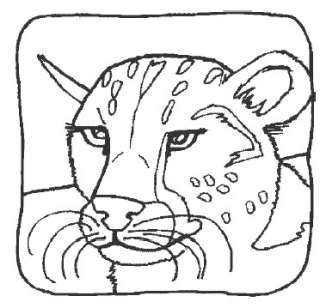 Zoo Animals 58 Coloring Pages Printable CD ROM  