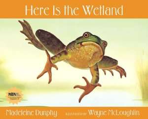   Here Is the Wetland by Madeleine Dunphy, Web of Life 