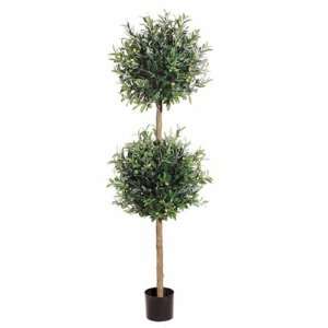  5.5 Natural Trunk Ball Olive Topiary