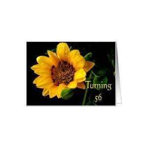  56th Birthday, yellow Gazania Card Toys & Games