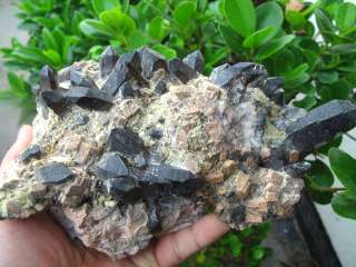 14lb NATURAL HUGE tibetan BLACK Quartz Crystal Cluster AWESOME FORM 