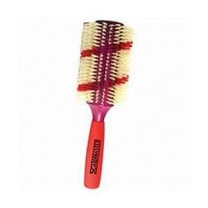   : Scalpmaster Dual Color Boar Bristle Brush / Jumbo (SC 5905): Beauty