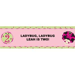 LadyBugs: Oh So Sweet 2nd Birthday Personalized Banner Medium 24 x 80 