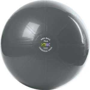  Gofit 75cm Professional Stability Ball & Free Mini Tool 
