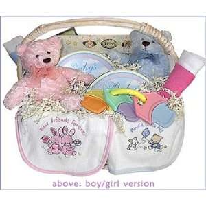   Welcome Twins! Baby Gift Basket   (Gender of Twins=BG:Boy/Girl): Baby