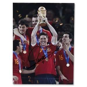   Icons Fernando Torres World Cup 2010 Winner Photo