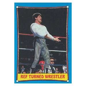  1987 WWF Topps Wrestling Stars Trading Card #23 : Danny 