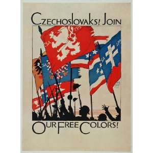  1920 WWI Czechoslovakia Bohemian Flags War Mini Poster Propaganda 