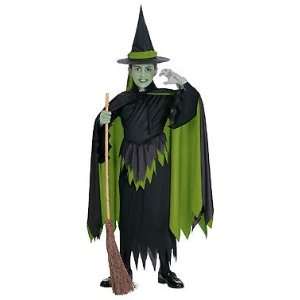  WICKED WITCH COSTUME 8 10: Toys & Games