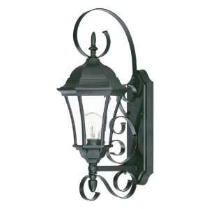  Acclaim Lighting Orleans Outdoor Sconce: Home Improvement