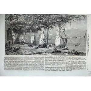  1860 Under The Vines Italy Grapes Wine Making Goat Bird 
