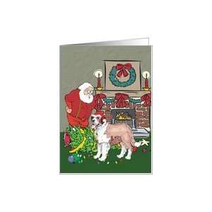  Santas Helper St Bernard Christmas Card Card: Health 