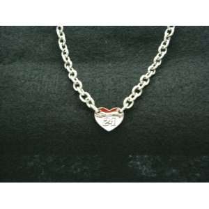  Jeff Gordon #24 Stainless Steel Necklace: Everything Else
