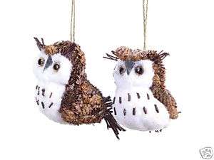 Pine Cone Owl Craft Christmas Ornament S/2 32839  