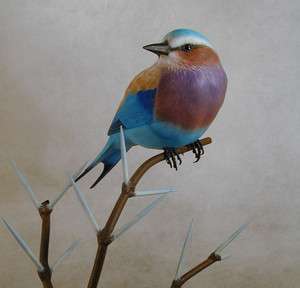 Lilac breasted Roller Original Bird Wood Carving  