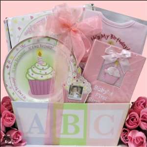  Babys 1st Birthday ~ Girl Baby Birthday Gift Basket 