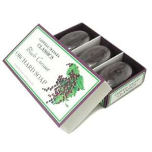 Black Currant Orchard Soap Trio   Caswell Massey   Body Care   3x92g/3 