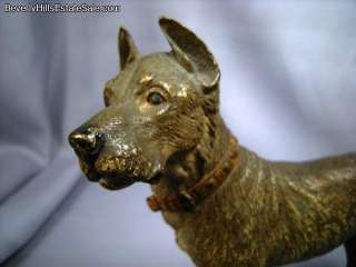 Large Vienna Bronze Great Dane Dog Signed Geschutzt  