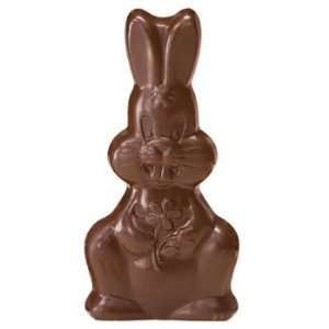 Organic Milk Chocolate Easter Bunny:  Grocery & Gourmet 