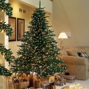  6.5 Kennedy Fir Christmas Tree