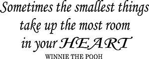 WINNIE THE POOH VINYL WALL DECAL QUOTE SMALLEST THINGS 6x15  