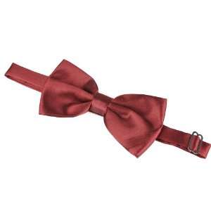    Mens Fashion Style Satin Bow Tie Cravat, B14 Red: Everything Else