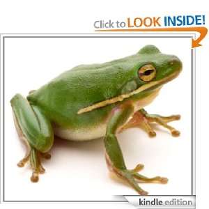 Quick and Easy Guide on How to Get Rid of Frogs: Harold Pearson 
