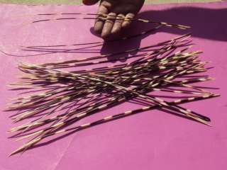 30 Wholesale 14 African Porcupine Quills arts #TF351  