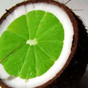  Coconut Lime Verbena: Health & Personal Care