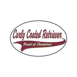  Curly Coated Retriever Shirts: Pet Supplies