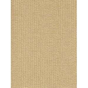  Wallpaper Patton Wallcovering Focal Point 7993105: Home 