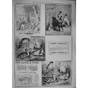  1894 ADVERTISEMENT ELLIMANS EMBROCATION MASHONALAND