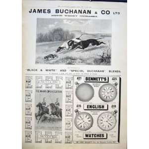  Advert Buchanan Whisky EllimanS Embrocation BennettS 