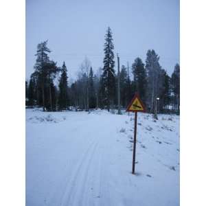  Snow Covered Road, Pyha Luosto Ski Resort, Finnish Lapland 