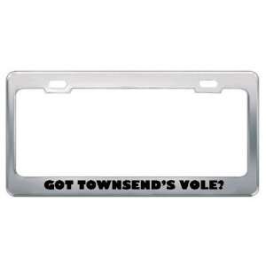 Got TownsendS Vole? Animals Pets Metal License Plate Frame Holder 