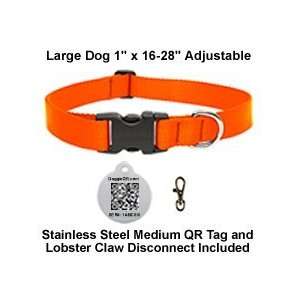   Dog 1 Nylon Collar & QR Tag. 16 28 (Select Color)