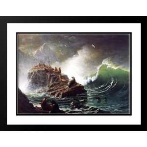 Seals on the Rocks, Farallon Islands 20x23 Framed and Double Matted 