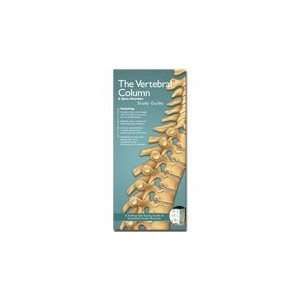  Illustrated Pocket Anatomy   Vertebral Column and Spine 