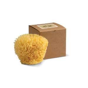  Wool Sponge Gift Box, 4 and1/2 Inches Beauty