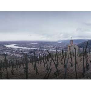 Vineyard Overlooks the City and the Rhone River, France 