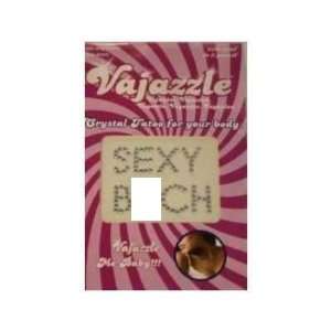 Bundle Vajazzle Sexy B*tch and 2 pack of Pink Silicone Lubricant 3.3 