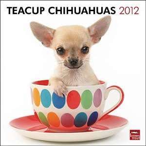 Teacup Chihuahuas 2012 Wall Calendar 12 X 12 Office 