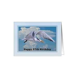  Happy Birthday, 97th, Royal Tern Bird Card Toys & Games