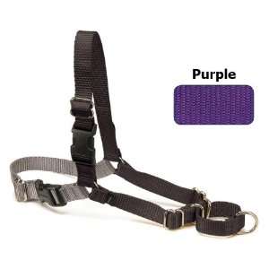  Easy Walk Dog Harness   Purple/Black: Pet Supplies
