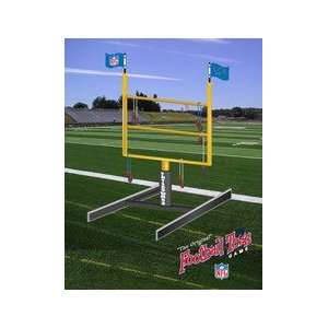    Detroit Lions Football Field Tailgate Toss: Sports & Outdoors