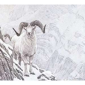  Robert Bateman   White World Dalls Sheep